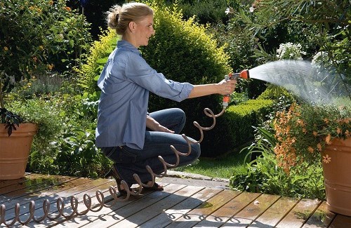 Além de ser um hobby cada vez mais procurado, o cuidado com as plantas e flores pode promover múltiplos resultados